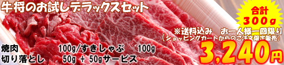 牛将のお試しセット3,000円コース