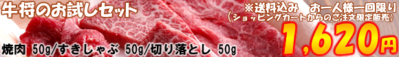 牛将のお試しセット1,500円コース