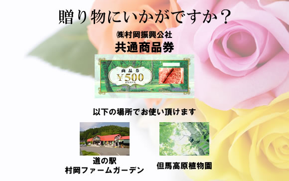 イメージ1