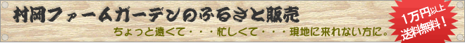 ネット販売